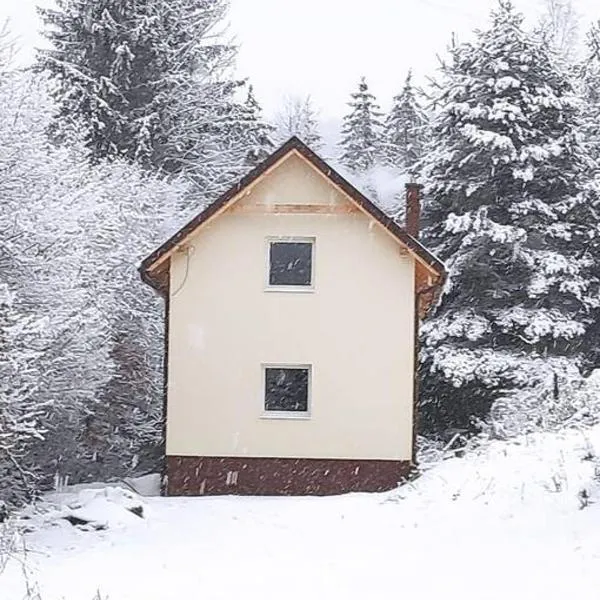 Komplet vybavená chata s WiFi pripojením a TV v prírodnom prostredí，位于Hiadeľ的酒店