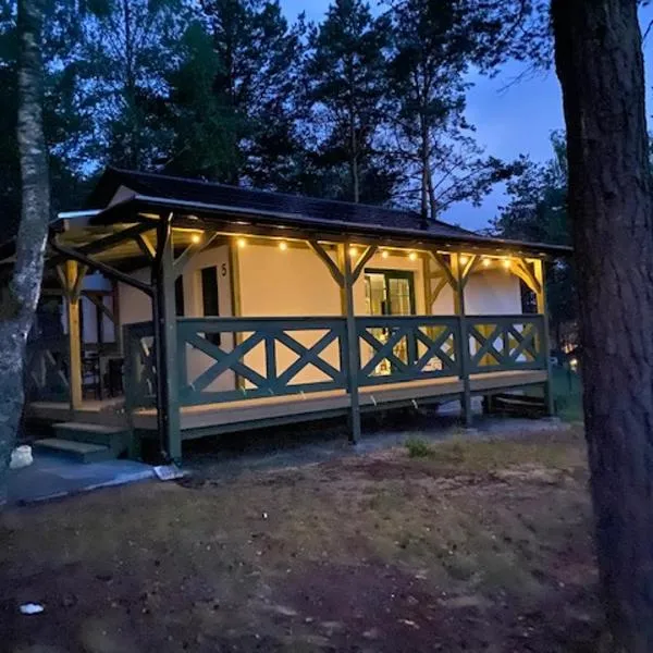 Sosnowy Domek nad jeziorem na Kaszubach，位于斯沃尔纳加西耶的酒店