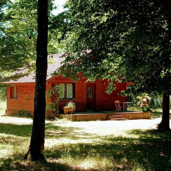 Chalet en forêt, brame du cerf，位于Courdimanche-sur-Essonne的酒店