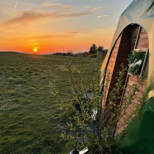 Pant y Rhedyn Glamping and camping site，位于Llanfair Talhaiarn的酒店