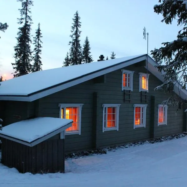 Vuosselin Kruunu，位于鲁卡的酒店