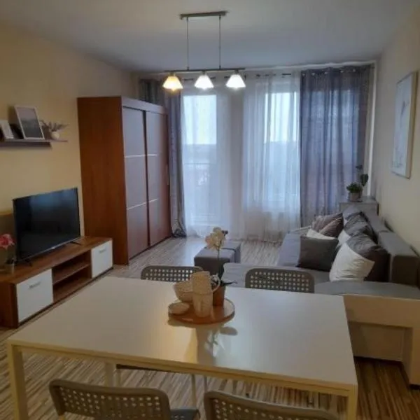 Apartament z Garażem blisko Lotniska，位于皮瑟兹诺的酒店