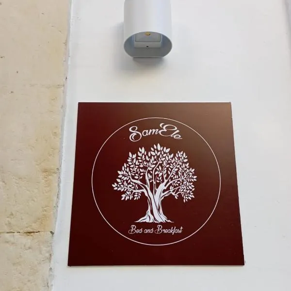 SamEle Bed and Breakfast，位于莱切的酒店
