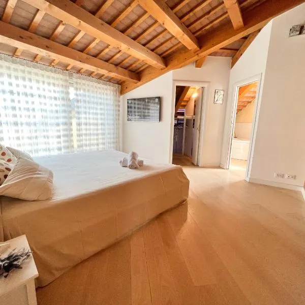 ERMAN HOUSE Mansarda sulla Riviera del Brenta Venezia，位于多洛的酒店