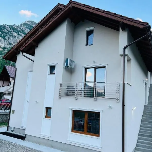 M House Băile Herculane，位于伯伊莱海尔库拉内的酒店