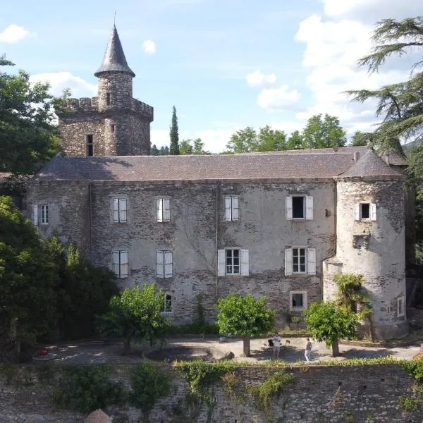 Le Château de Cambiaire，位于Le Pindédis的酒店