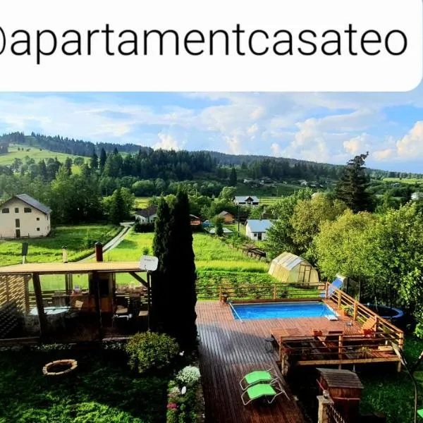 Apartament Casa Teo，位于Şaru Dornei的酒店