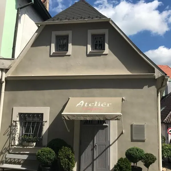 Apartmán No 244，位于Planá nad Lužnicí的酒店