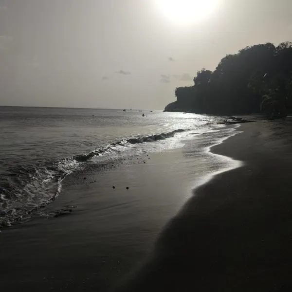 STUDIO PIEDS DANS L EAU A SCHOELCHER，位于舍尔谢的酒店