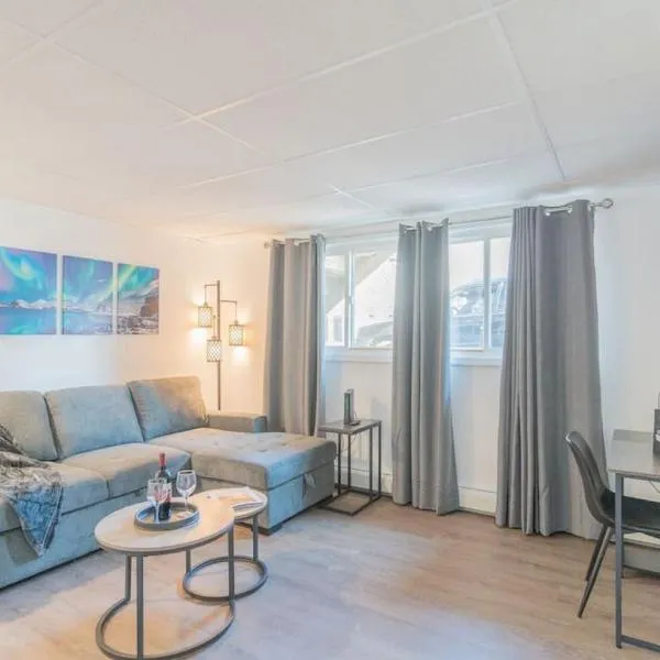 Executive Work Space With Modern Charm，位于费尔班克斯的酒店