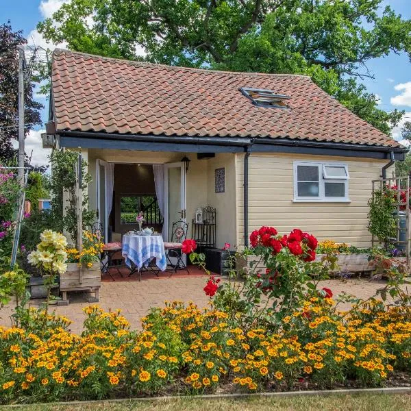 Norbank Cottage，位于Bressingham的酒店