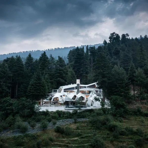 Tree of Life Eila Art Hotel, Manali，位于Shirir的酒店