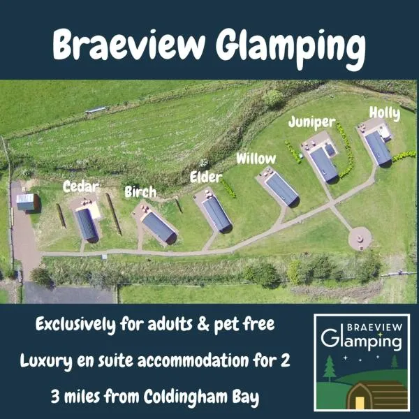 Braeview Glamping，位于艾茅斯的酒店