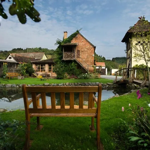 斯塔拉卡佩拉乡村民宿，位于Živike的酒店