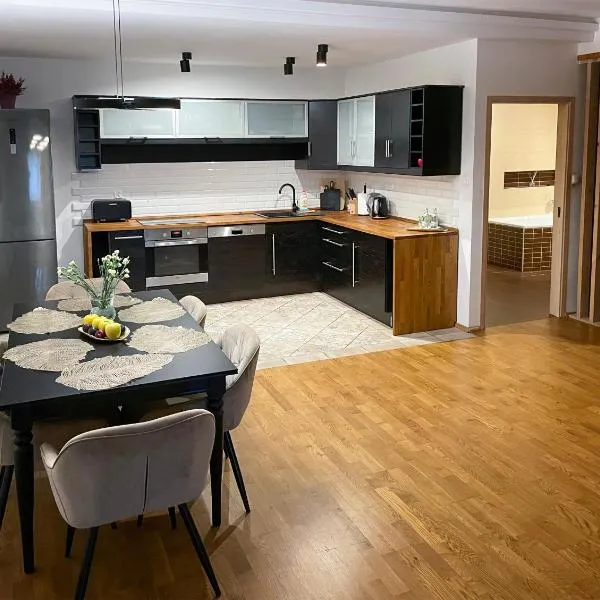 Przestronny Apartament w Centrum，位于Nowosiolki-Kolonia的酒店