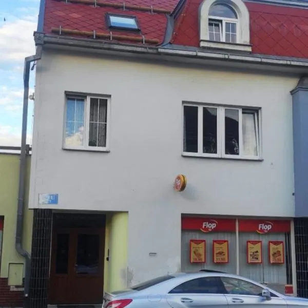 Bytový dům Počátky，位于Častrov的酒店