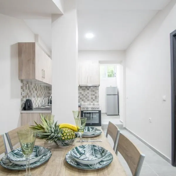 J & A Kandilas Apartment，位于扎金索斯镇的酒店