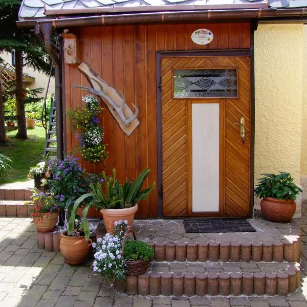 Ferienhaus Erzgebirge "An der Trebe" mit Kamin und Sauna，位于Rechenberg-Bienenmühle的酒店