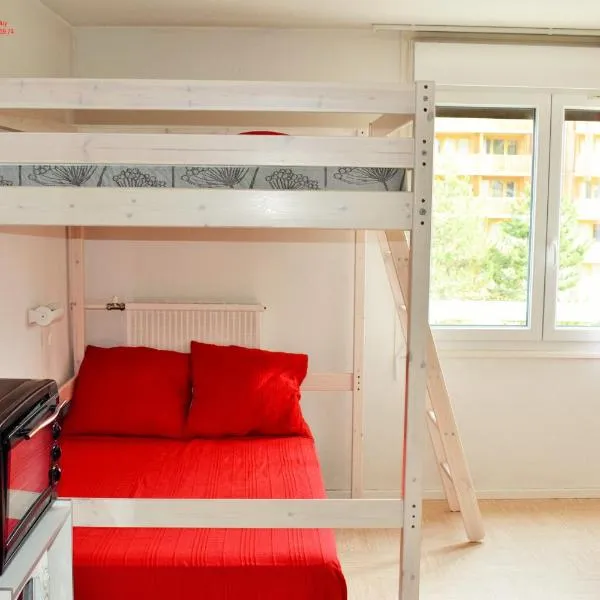 Le Studio Super Dévoluy!!!，位于Superdevoluy的酒店