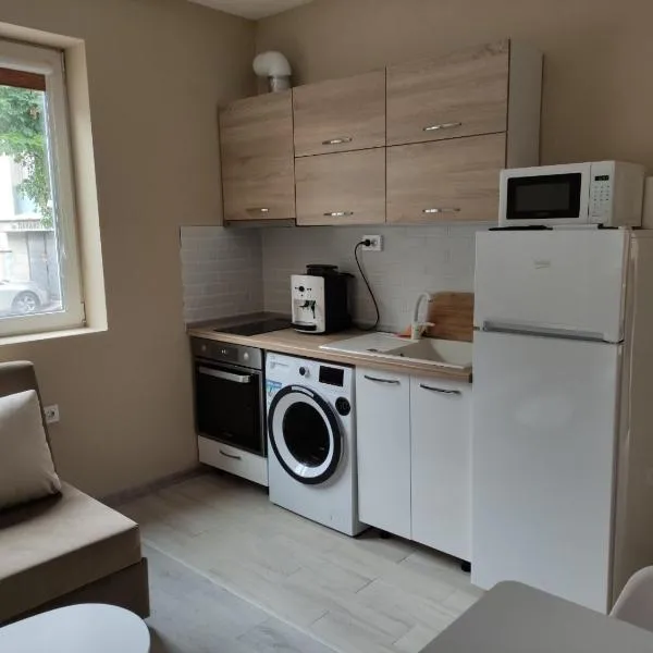 Light side Inn，位于鲁塞的酒店