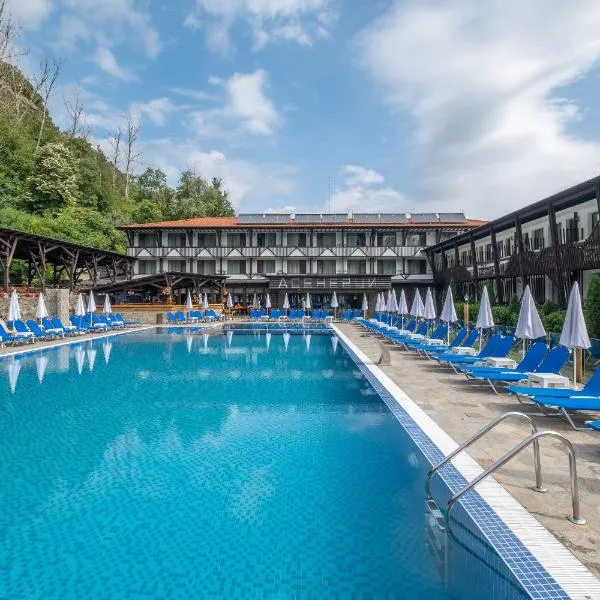 Park Hotel Asenevtsi，位于Malki Chiflik的酒店