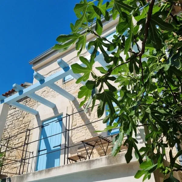 Casa Bella - Istrian Stone House，位于Šajini的酒店