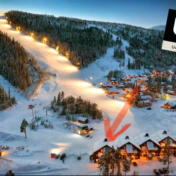 Mountain retreat in Uvdal WIFI SAUNA，位于Uvdal的酒店