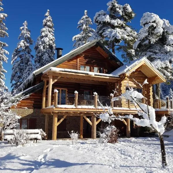 Magnifique chalet en rondins avec sauna - Vercors，位于维拉尔-德朗的酒店