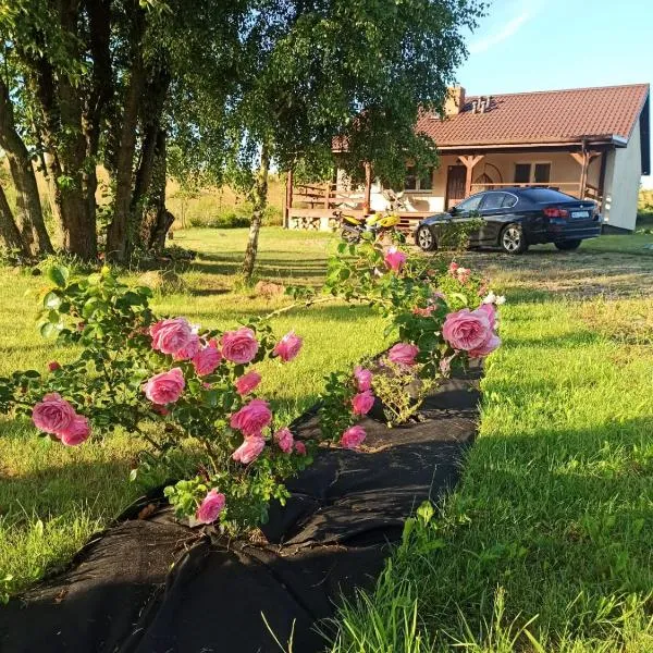 Dom przy lesie，位于斯塔雷朱奇的酒店