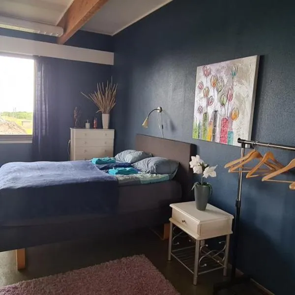 Solheim Guesthouse Andøy，位于Dverberg的酒店