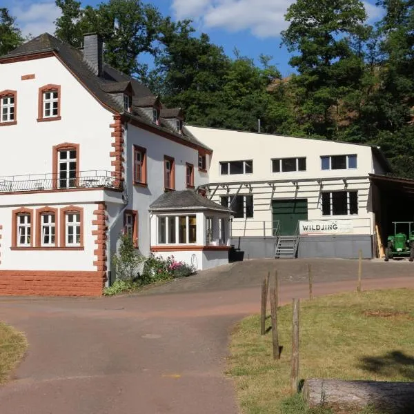 Gästehaus Herrenmühle，位于Freudenburg的酒店