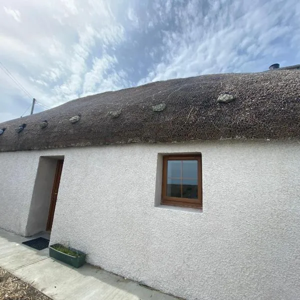 An Taigh Dubh- One bedroomed cottage，位于Rossinish的酒店