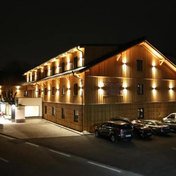 Hotel Wildschütz Basic，位于Aurach am Hongar的酒店