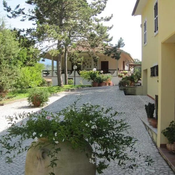 Valle degli Ulivi appartamento，位于特尔尼的酒店