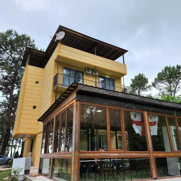 Black Sea House Georgia，位于谢赫维蒂利的酒店