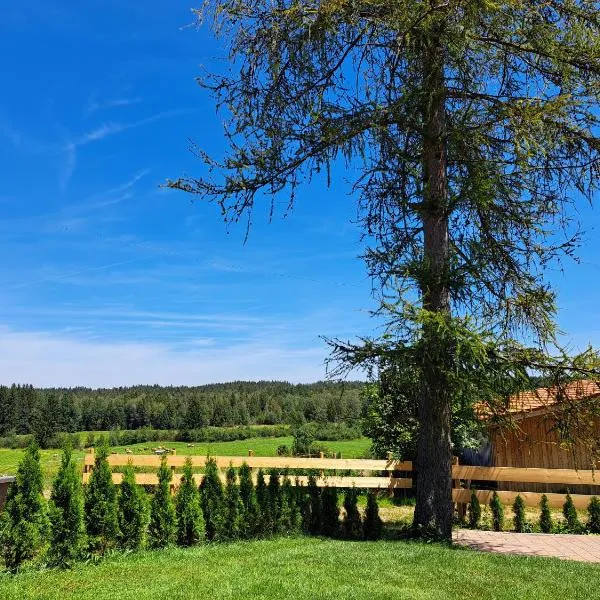 Ferienwohnung Bauer，位于Böbing的酒店