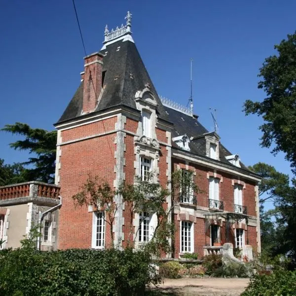 Manoir de la Loge，位于Ciron的酒店