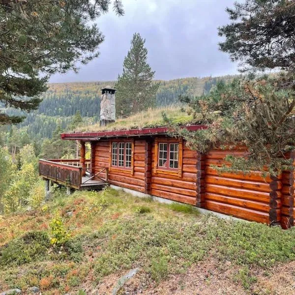 Timber Lodge in Uvdal Skisenter VIEW/WIFI，位于Sønstebø的酒店