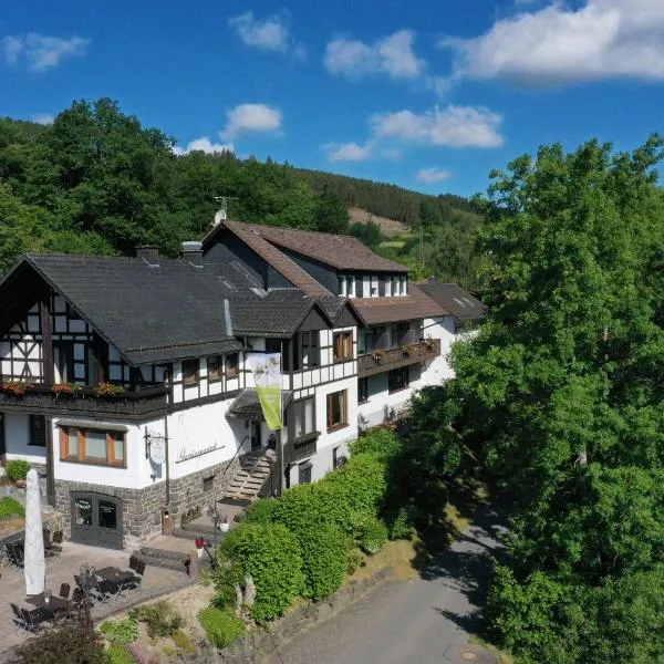 Landidyll Landhaus Liesetal，位于Dachsloch的酒店