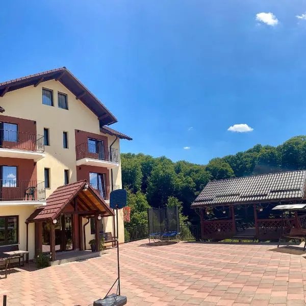 Pensiunea 7 Brazi II，位于波亚纳默鲁卢伊的酒店