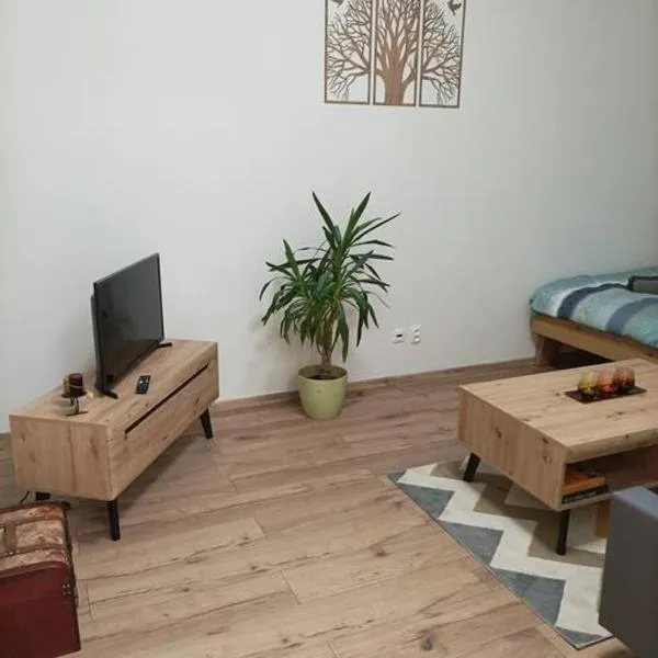 Štýlový Apartmán Zemplínska，位于普雷绍夫的酒店