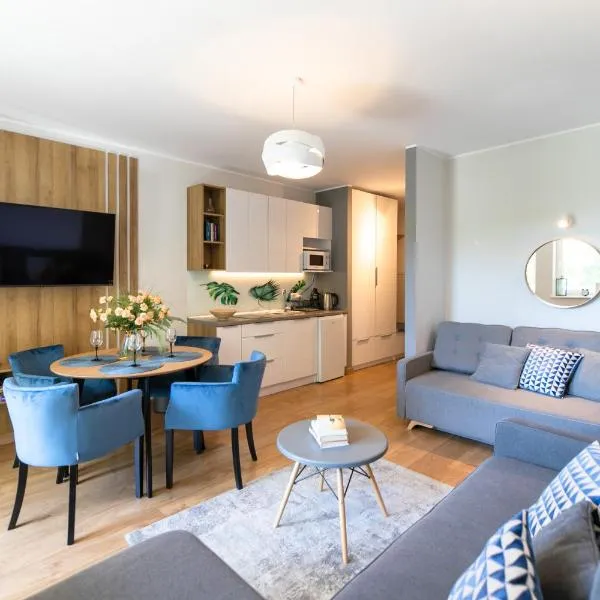 Apartamenty Kamienna z widokiem na góry i 2 km do Wyciągu Skolnity - Dream Apart，位于维斯瓦的酒店