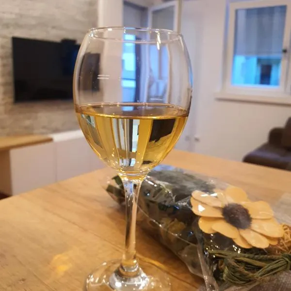 Verona 25，位于弗尔尼亚奇卡矿泉镇的酒店