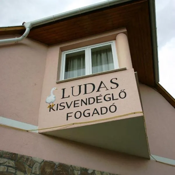鲁达斯佛格多住宿加早餐旅馆，位于Dabrony的酒店