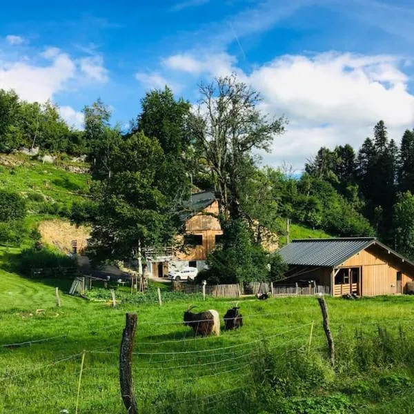 Gîte le creux de vennes，位于Le Bizot的酒店