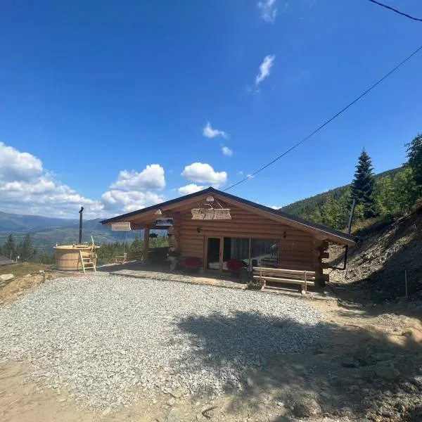 Cabana De Vis Pietrosul，位于博尔沙的酒店