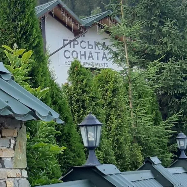 Гірська Соната，位于米库利钦的酒店