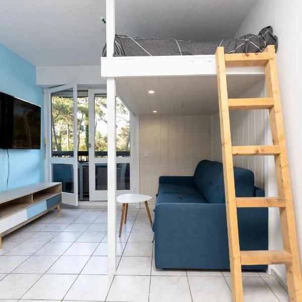 Studio Seignosse proche plage，位于塞尼奥斯的酒店