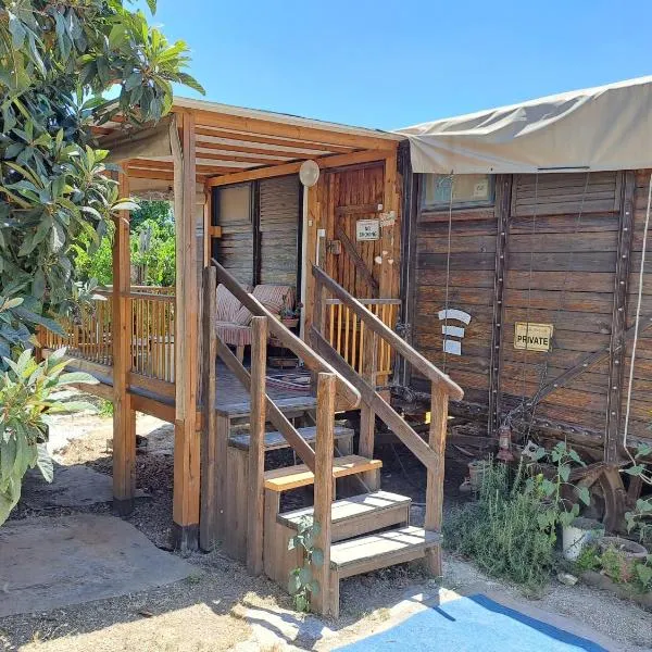 加利利贝都因营地山林小屋，位于Ramat Yishay的酒店