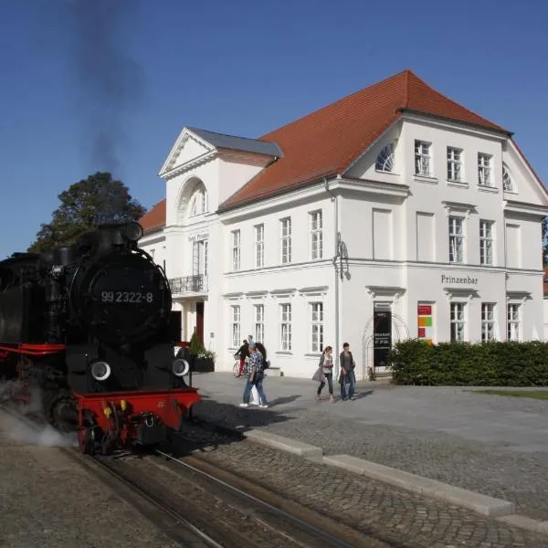 Hotel Prinzenpalais Bad Doberan，位于巴特多布兰的酒店